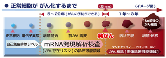 正常細胞ががん化するまで