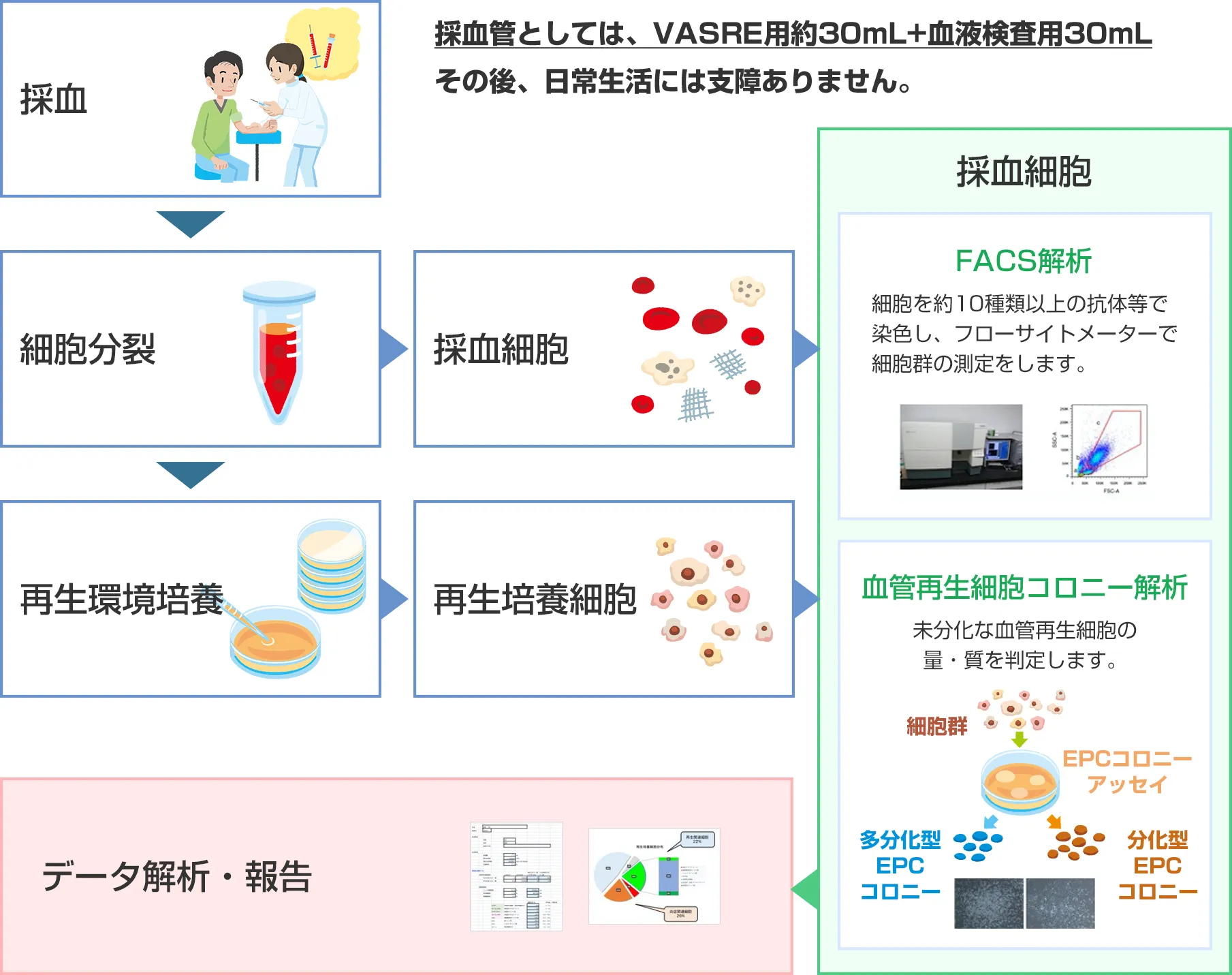 検査方法（採血検査のみ）