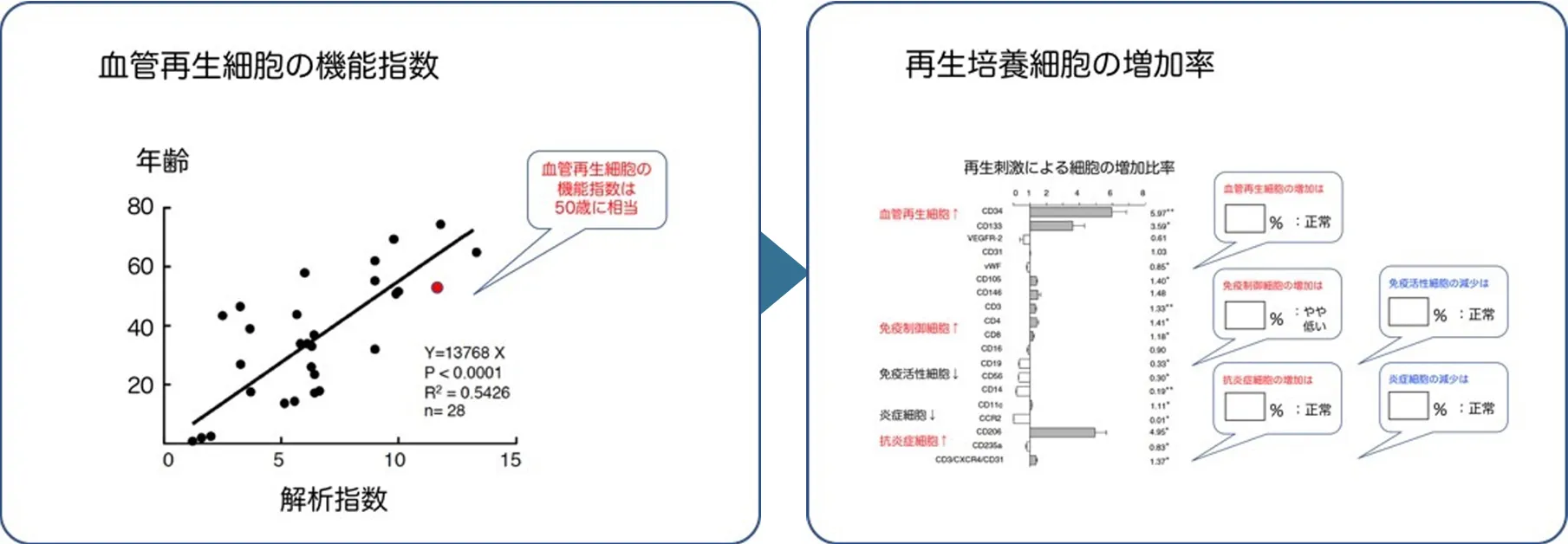 血管再生細胞の機能指数