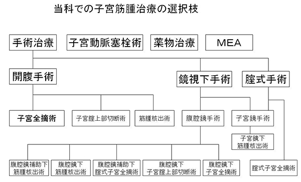 当科での子宮筋腫治療の選択肢