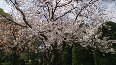 平和記念公園