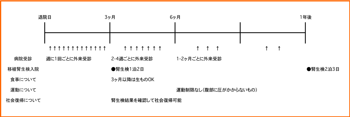 移植後の腎生検について