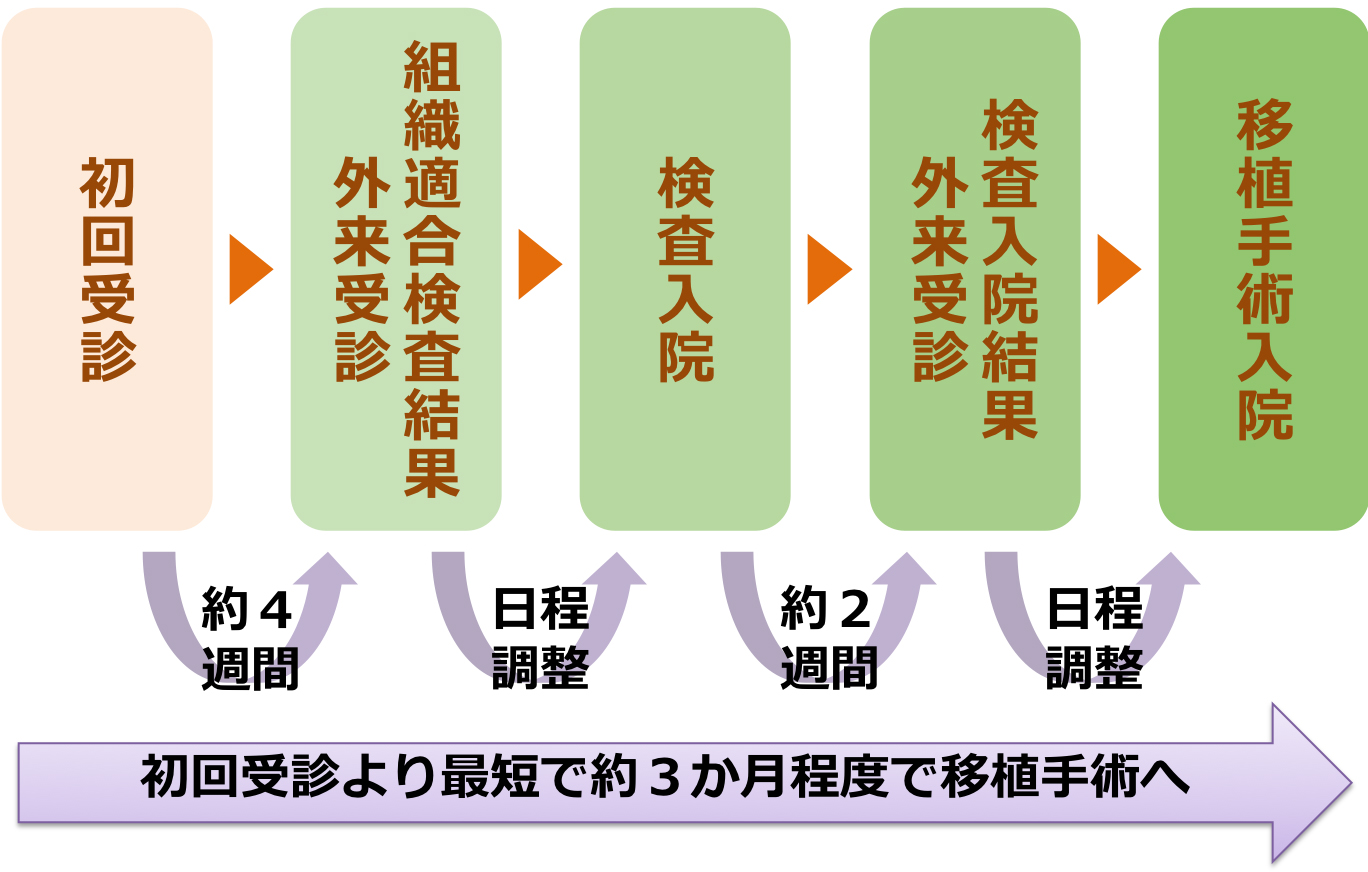 初回受診時～手術までの流れ