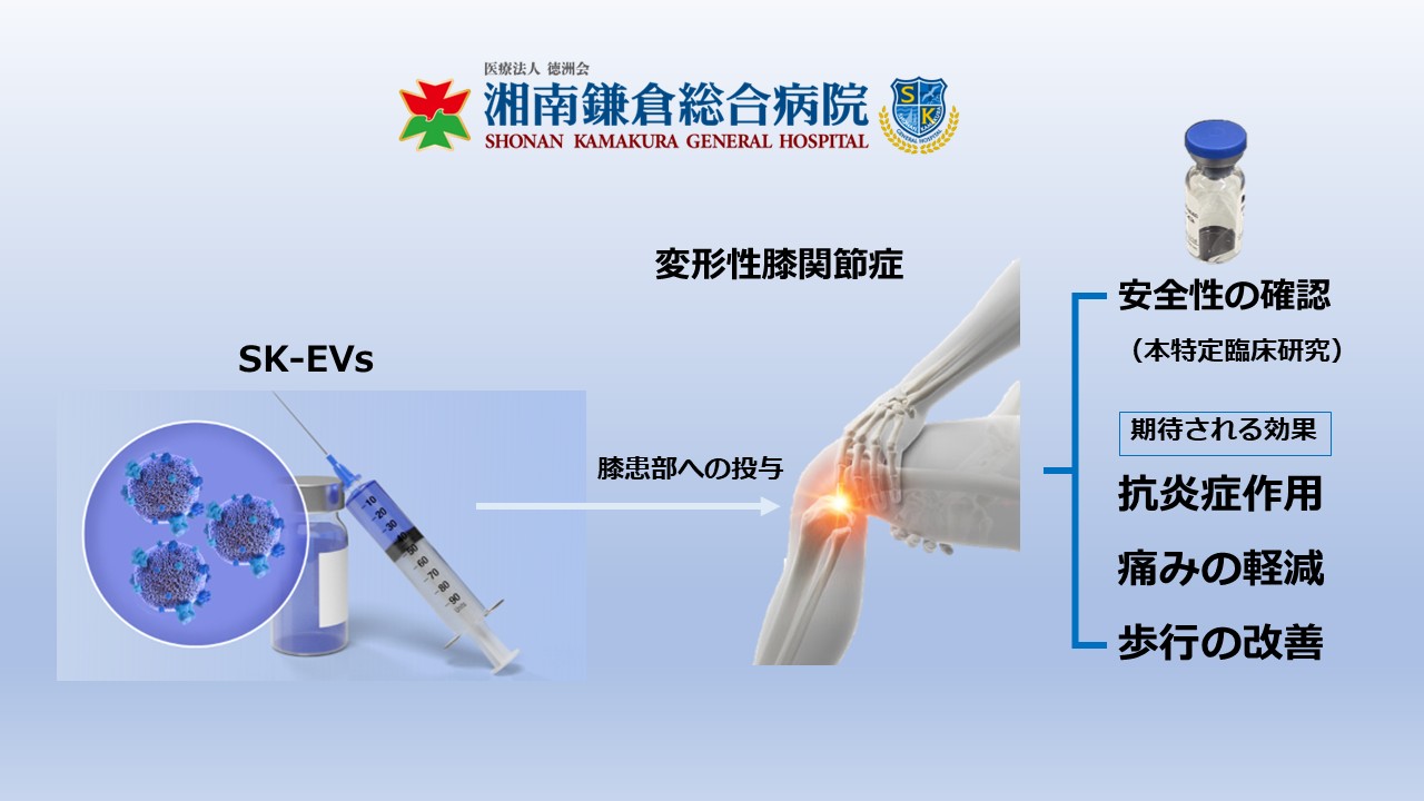 公式】エクソソームによる変形性膝関節症に対する本邦初となる特定臨床